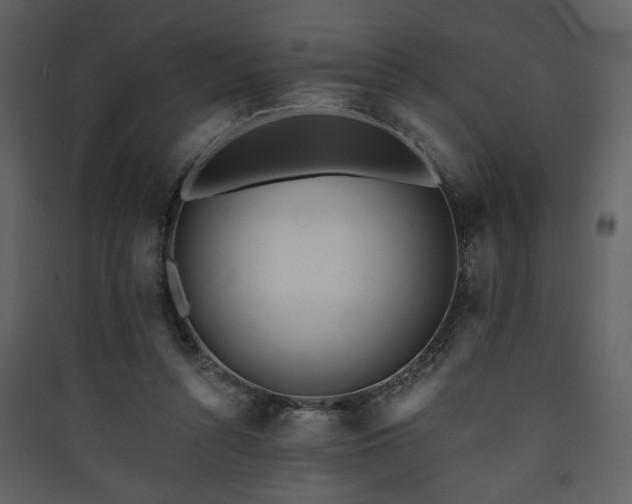 X0000090420352200707131213