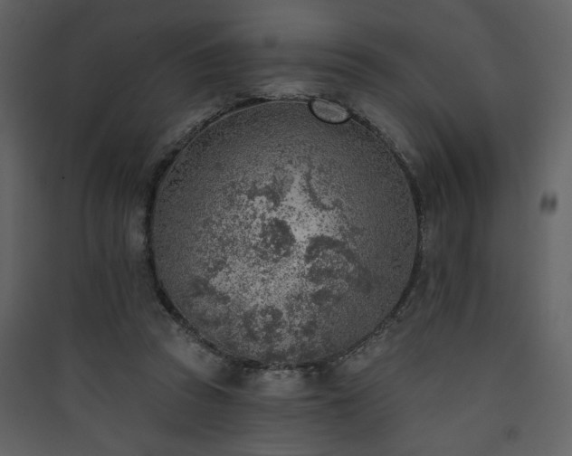X0000090420353200707131213