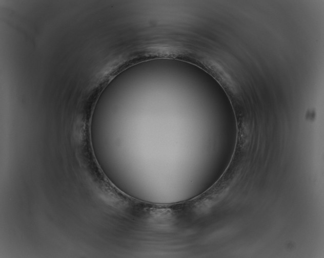 X0000090420355200707131213