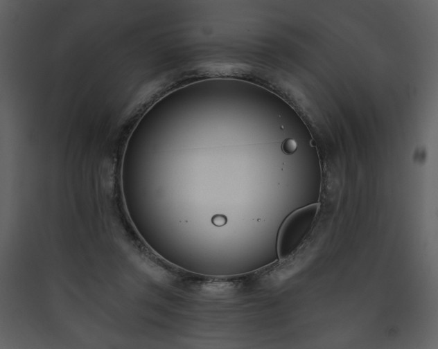 X0000090420357200707131213