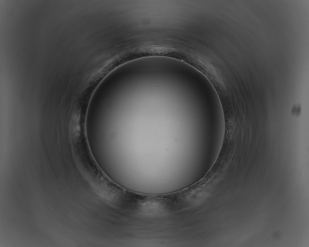 X0000090420358200707131213