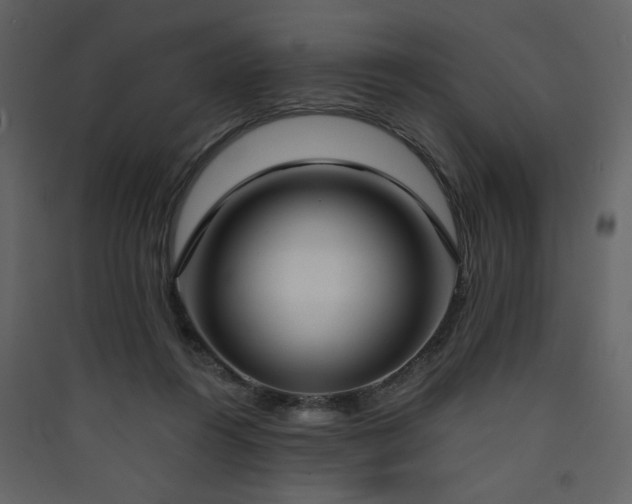 X0000090420360200707131213