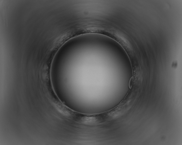 X0000090420361200707131213