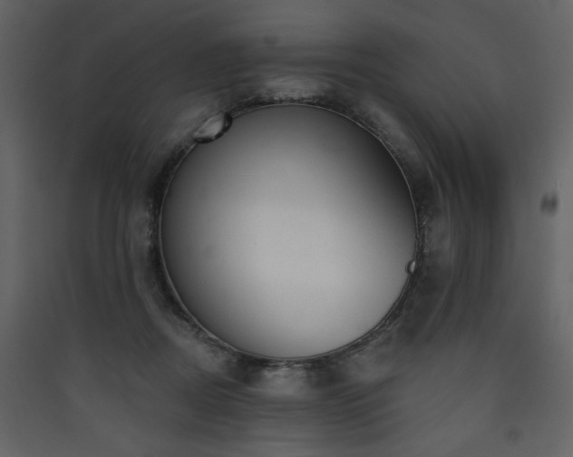 X0000090420362200707131213