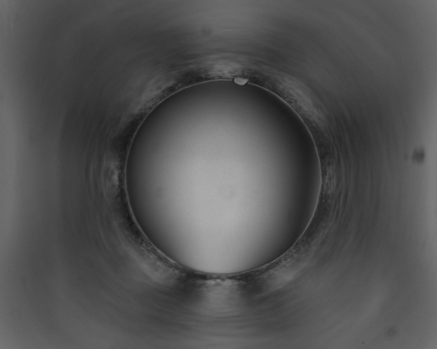 X0000090420363200707131213