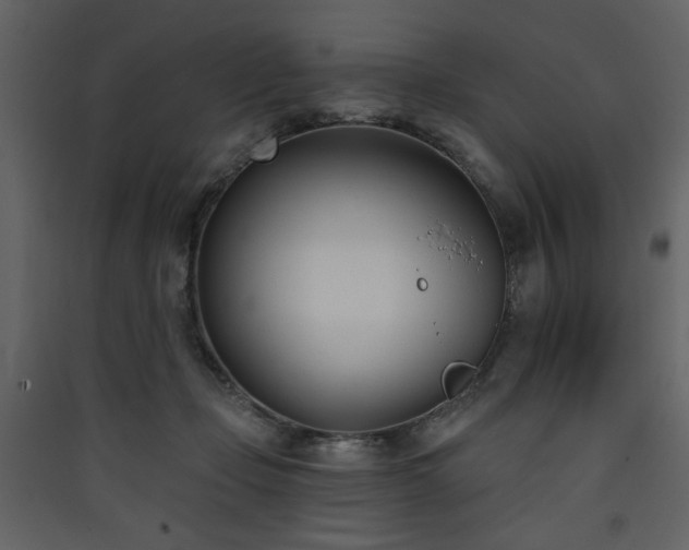 X0000090420365200707131213