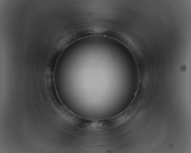 X0000090420366200707131213