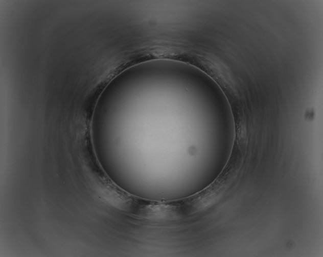 X0000090420367200707131213