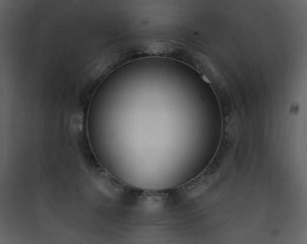 X0000090420368200707131213