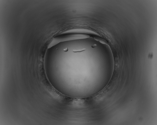 X0000090420369200707131213