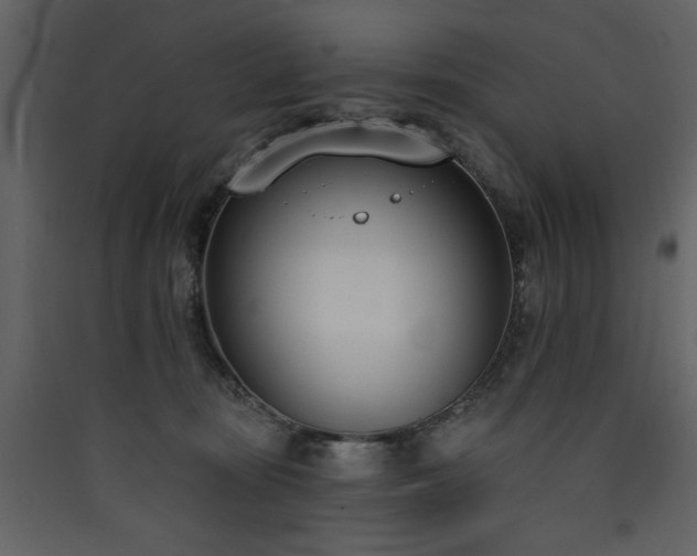 X0000090420371200707131213
