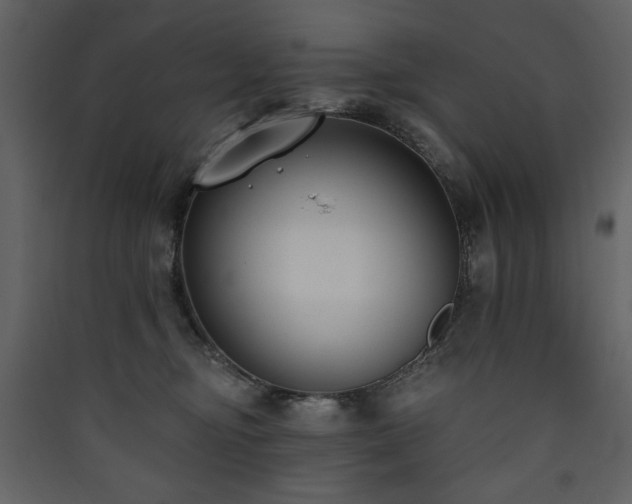 X0000090420374200707131213