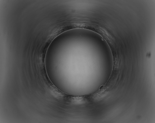 X0000090420377200707131214