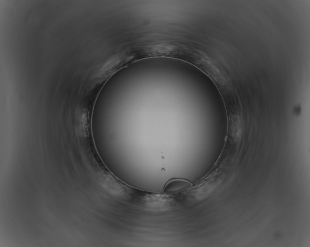 X0000090420378200707131214