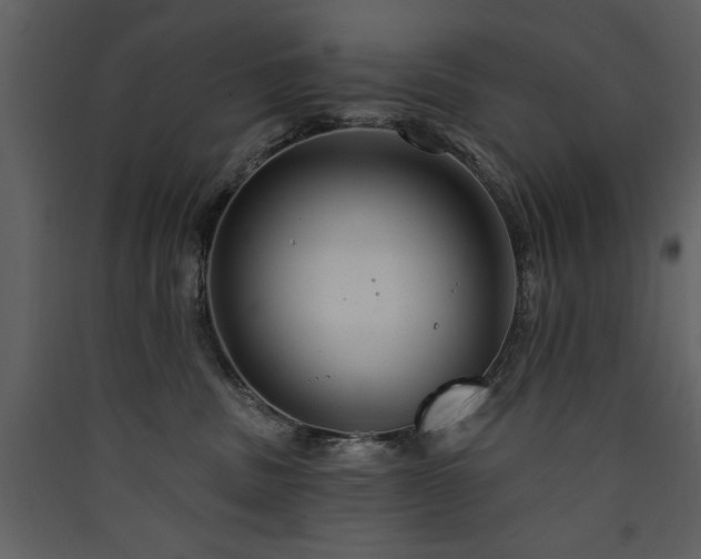 X0000090420379200707131214