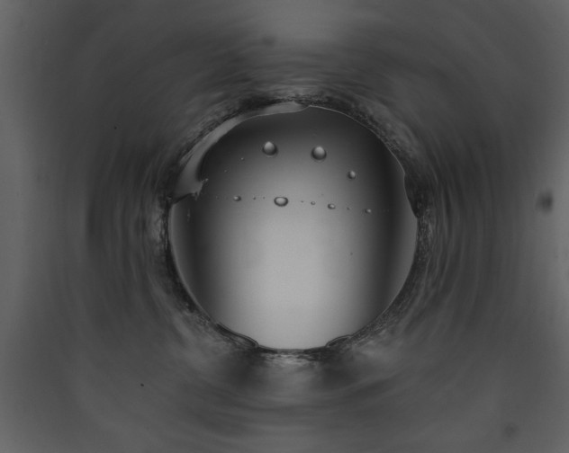 X0000090420380200707131214
