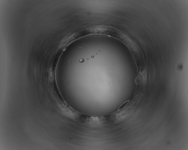 X0000090420381200707131214