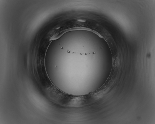 X0000090420382200707131214