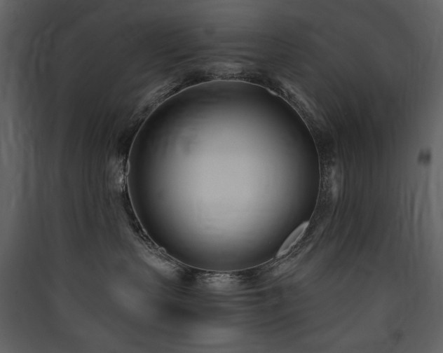 X0000090420383200707131214