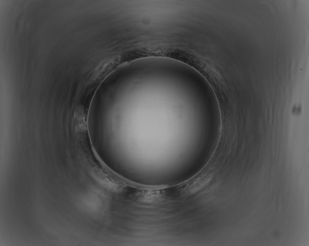 X0000090420384200707131214