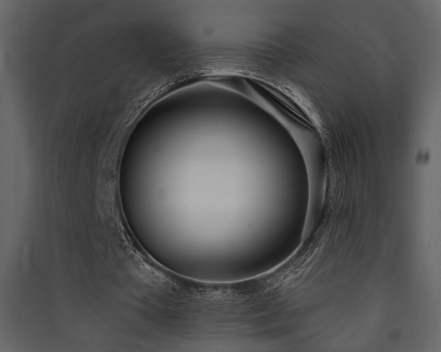 X0000090420385200707131213