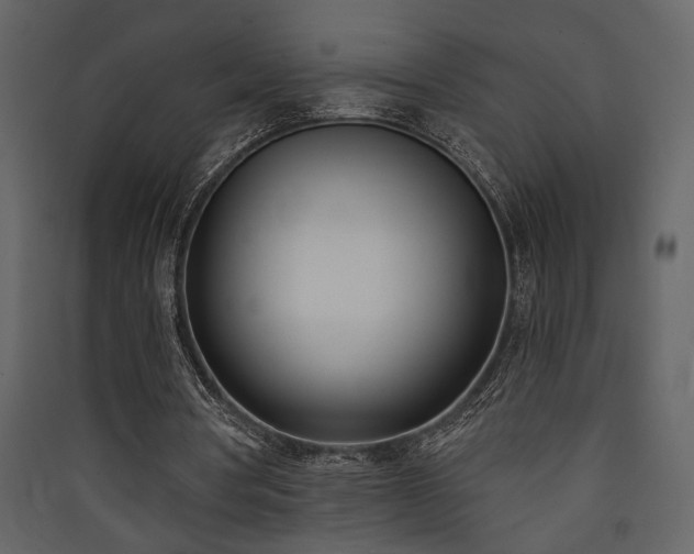 X0000090420386200707131213