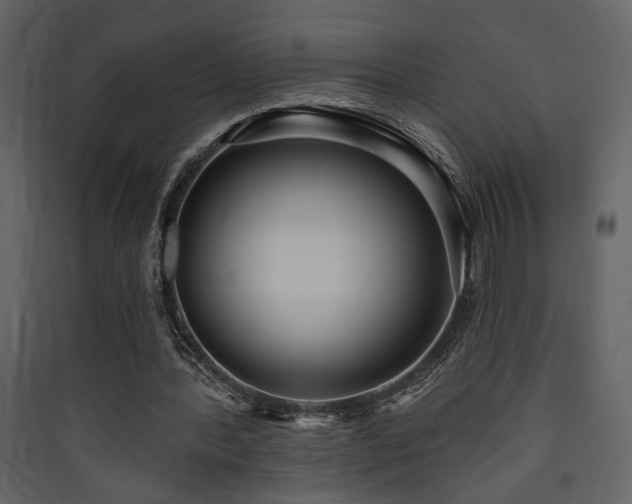 X0000090420388200707131213