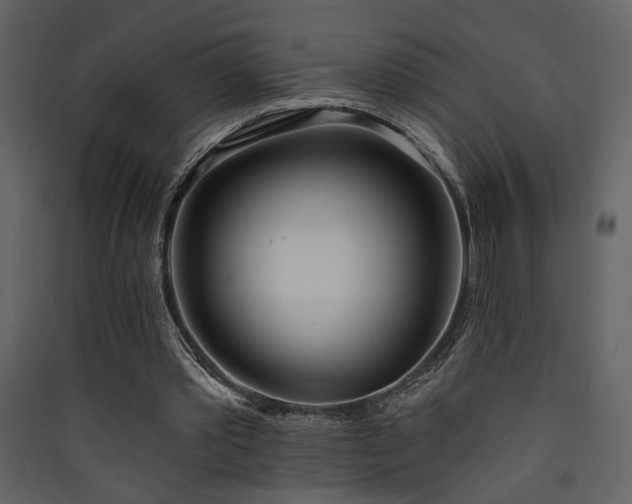 X0000090420389200707131213
