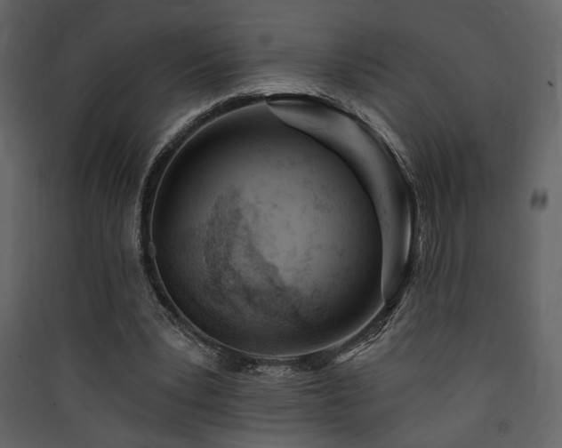 X0000090420391200707131213