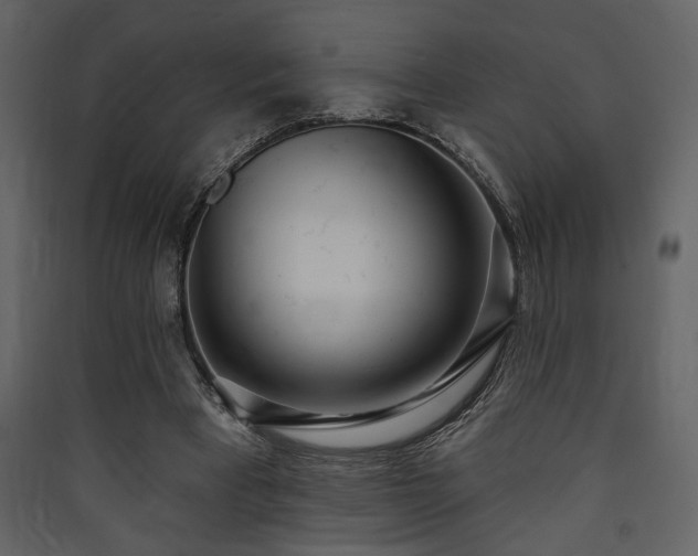 X0000090420393200707131213