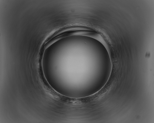 X0000090420395200707131213