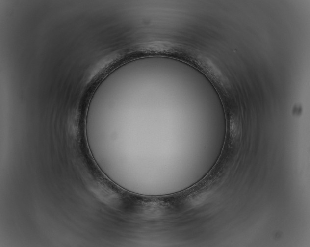 X0000090420396200707131213