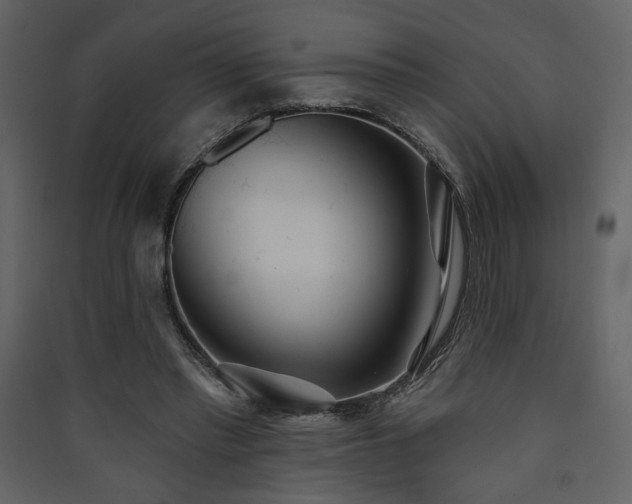 X0000090420397200707131213