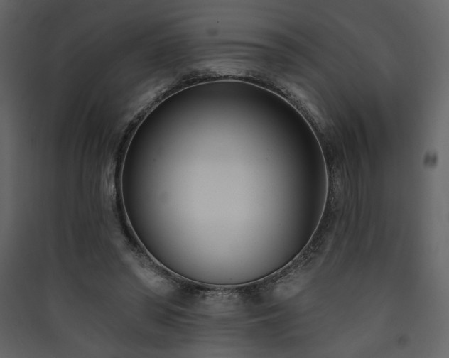 X0000090420398200707131213