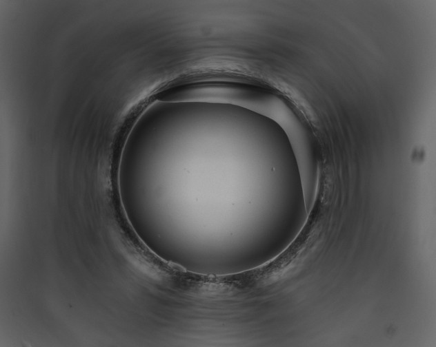 X0000090420399200707131213