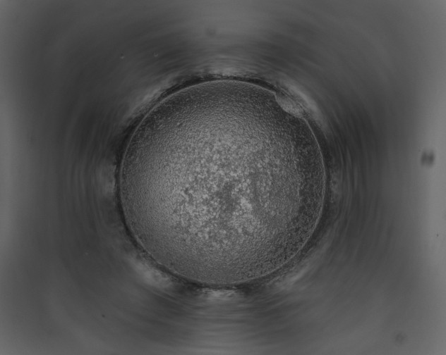 X0000090420401200707131213