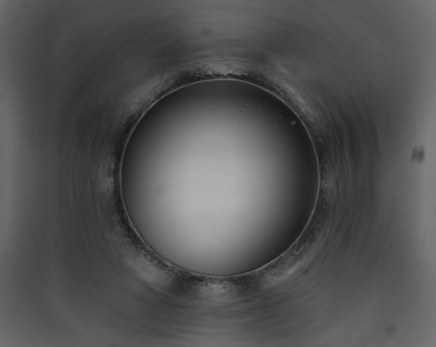 X0000090420402200707131213
