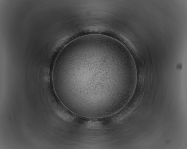 X0000090420403200707131213
