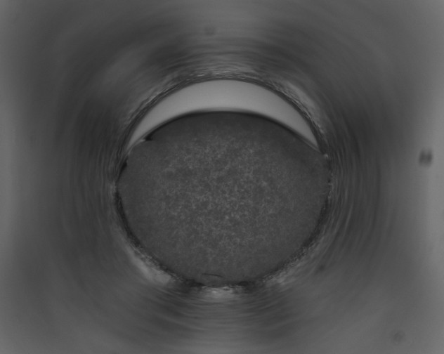 X0000090420405200707131213
