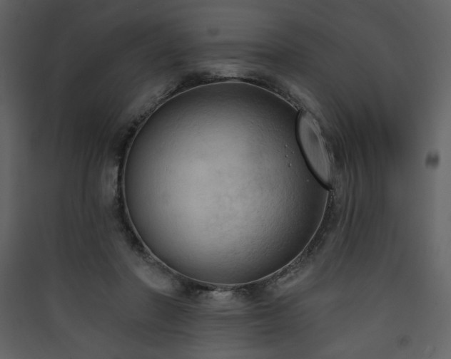 X0000090420406200707131213