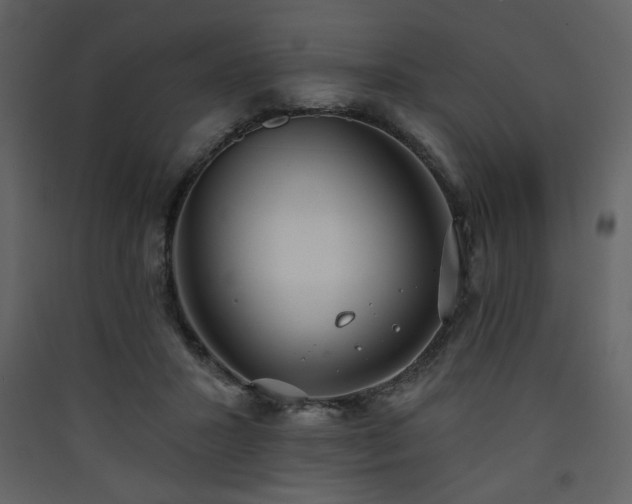 X0000090420407200707131213