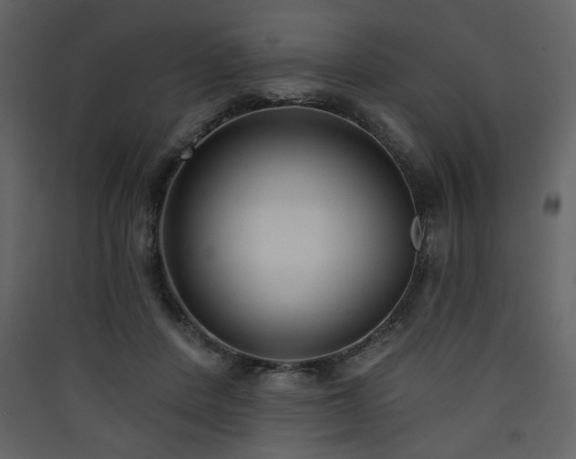 X0000090420408200707131213