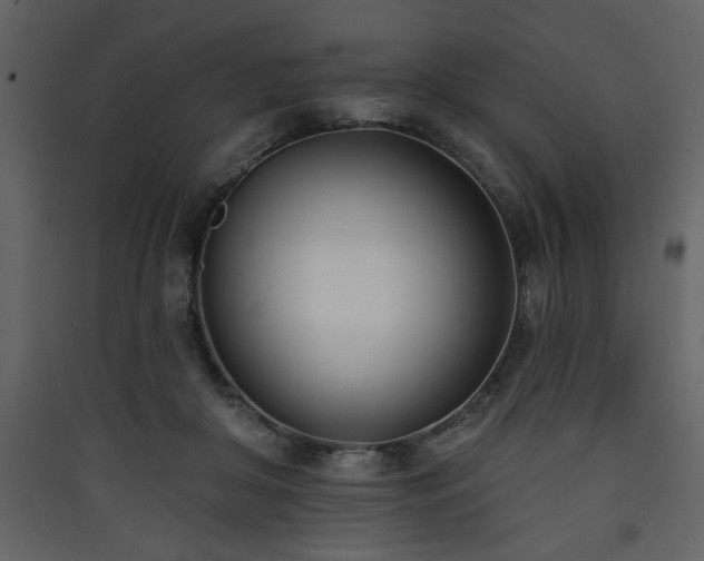 X0000090420410200707131213