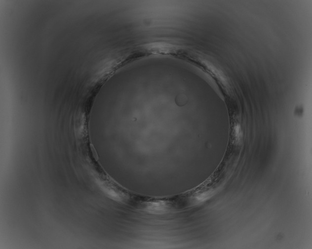 X0000090420411200707131213