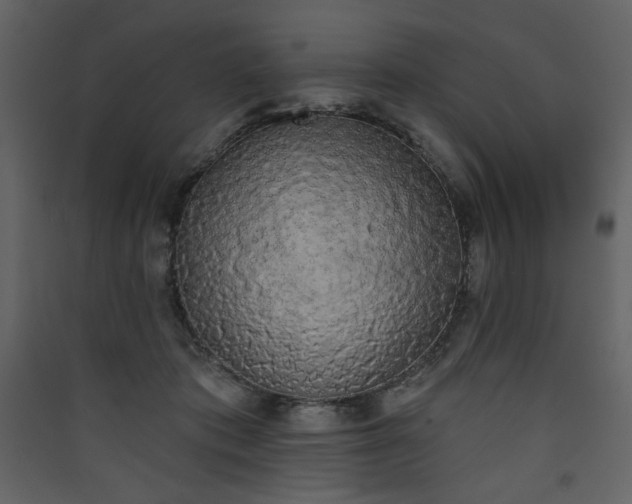 X0000090420413200707131213