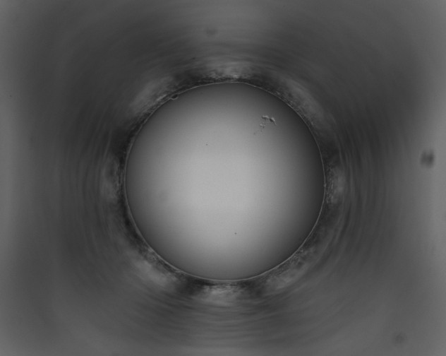 X0000090420414200707131213