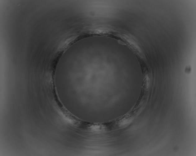 X0000090420415200707131213