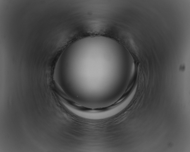X0000090420416200707131213