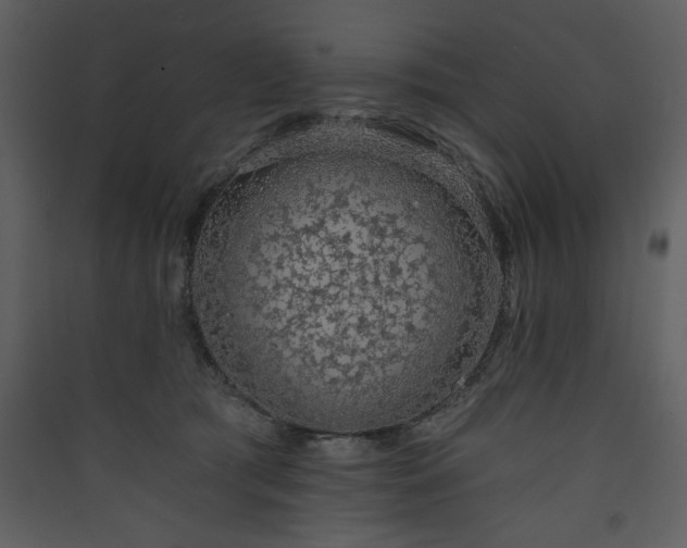 X0000090420417200707131213
