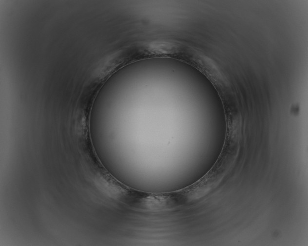 X0000090420418200707131213